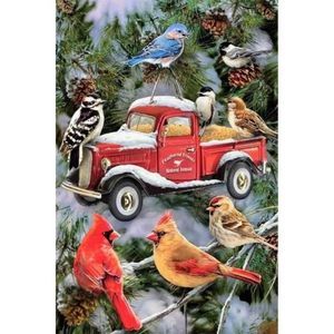 NEW GARDEN FLAG BIRDS RED TRUCK